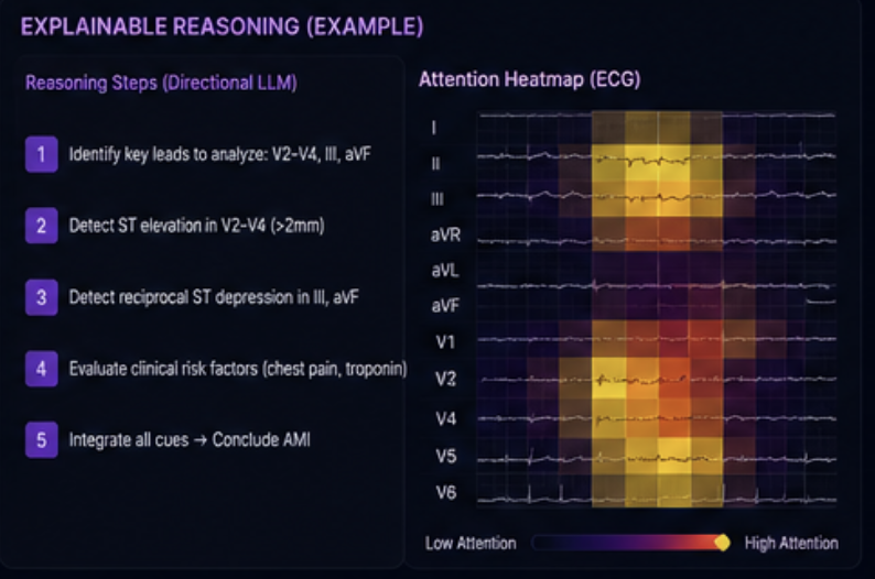 Directional LLMs research preview